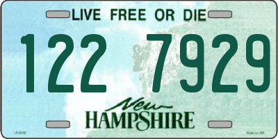 NH license plate 1227929