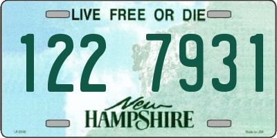 NH license plate 1227931