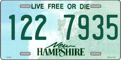 NH license plate 1227935