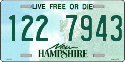 NH license plate 1227943