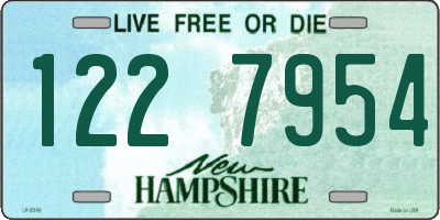 NH license plate 1227954