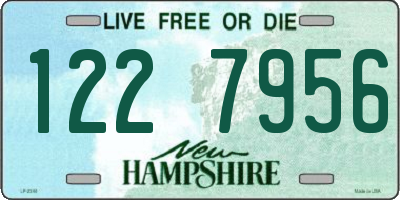 NH license plate 1227956