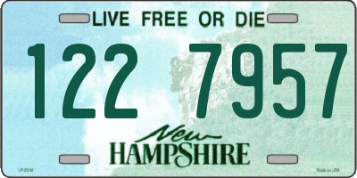 NH license plate 1227957