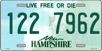NH license plate 1227962