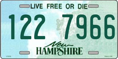 NH license plate 1227966