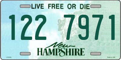 NH license plate 1227971