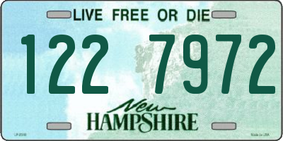 NH license plate 1227972