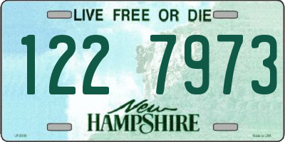 NH license plate 1227973