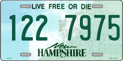NH license plate 1227975