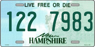 NH license plate 1227983