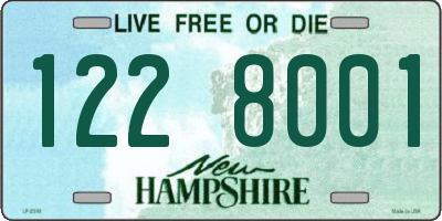 NH license plate 1228001