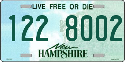 NH license plate 1228002