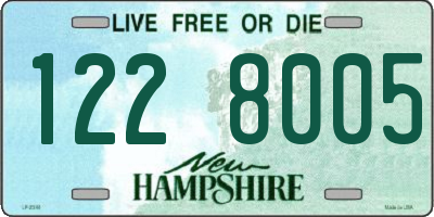 NH license plate 1228005