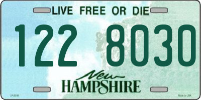 NH license plate 1228030