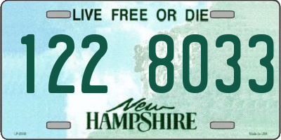 NH license plate 1228033