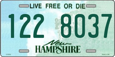 NH license plate 1228037