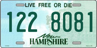 NH license plate 1228081
