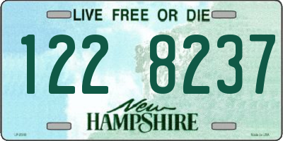 NH license plate 1228237