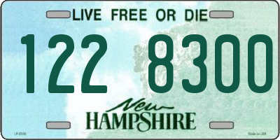 NH license plate 1228300