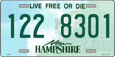 NH license plate 1228301