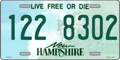 NH license plate 1228302