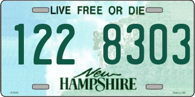 NH license plate 1228303