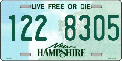 NH license plate 1228305
