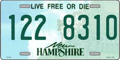 NH license plate 1228310