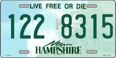 NH license plate 1228315