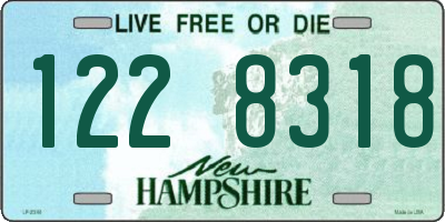 NH license plate 1228318