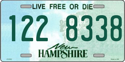 NH license plate 1228338