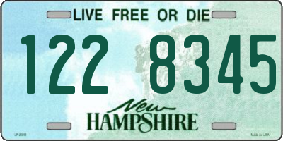 NH license plate 1228345