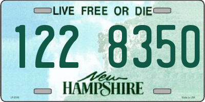 NH license plate 1228350