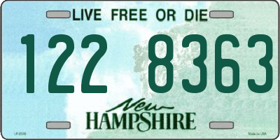 NH license plate 1228363