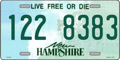 NH license plate 1228383