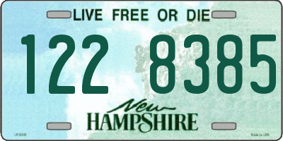 NH license plate 1228385