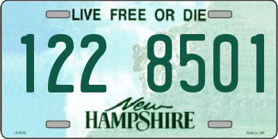 NH license plate 1228501