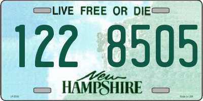 NH license plate 1228505