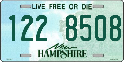 NH license plate 1228508