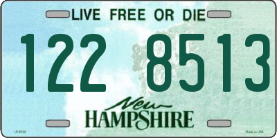 NH license plate 1228513