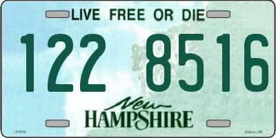NH license plate 1228516