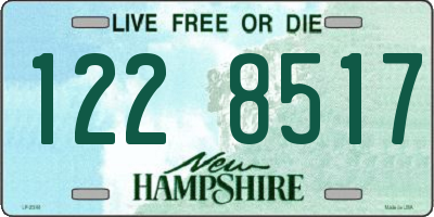 NH license plate 1228517