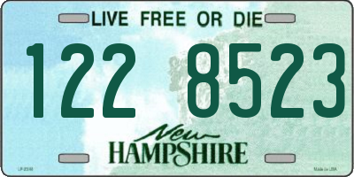 NH license plate 1228523