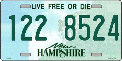NH license plate 1228524