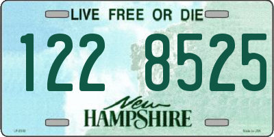 NH license plate 1228525