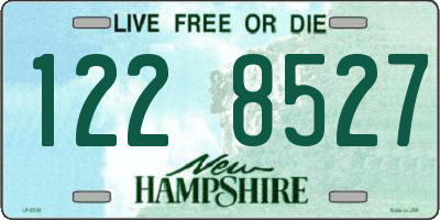 NH license plate 1228527
