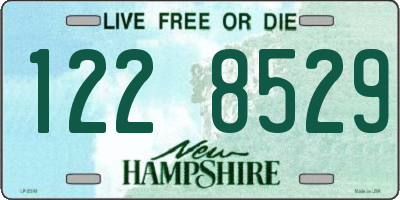 NH license plate 1228529