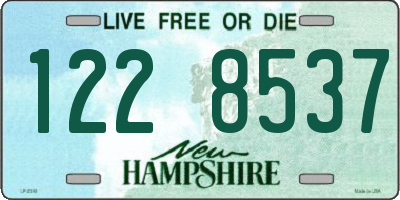NH license plate 1228537