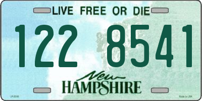 NH license plate 1228541