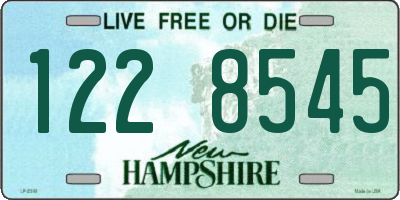 NH license plate 1228545